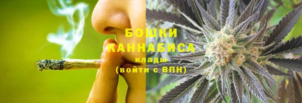 шишки Армянск