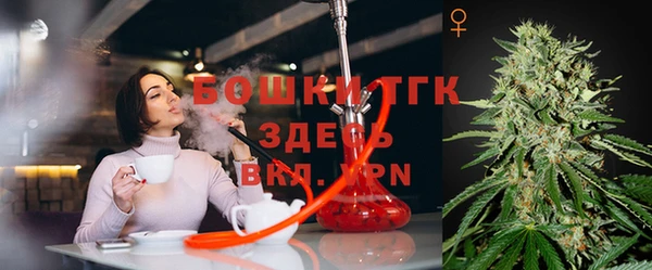 шишки Армянск