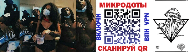 Псилоцибиновые грибы Psilocybe Терек