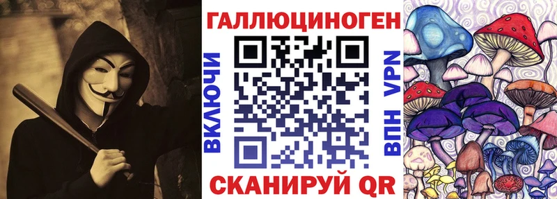 цена   Терек  Галлюциногенные грибы Psilocybine cubensis 